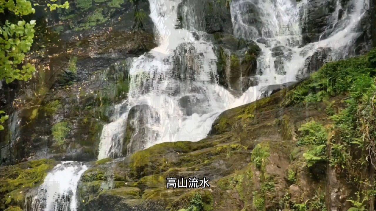 正宗北京烤鸭是什么样的游戏画面